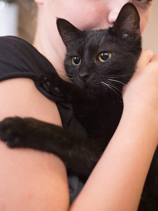 Coco