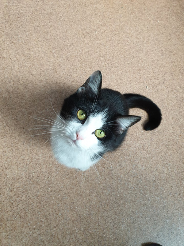 Katie - Image 5