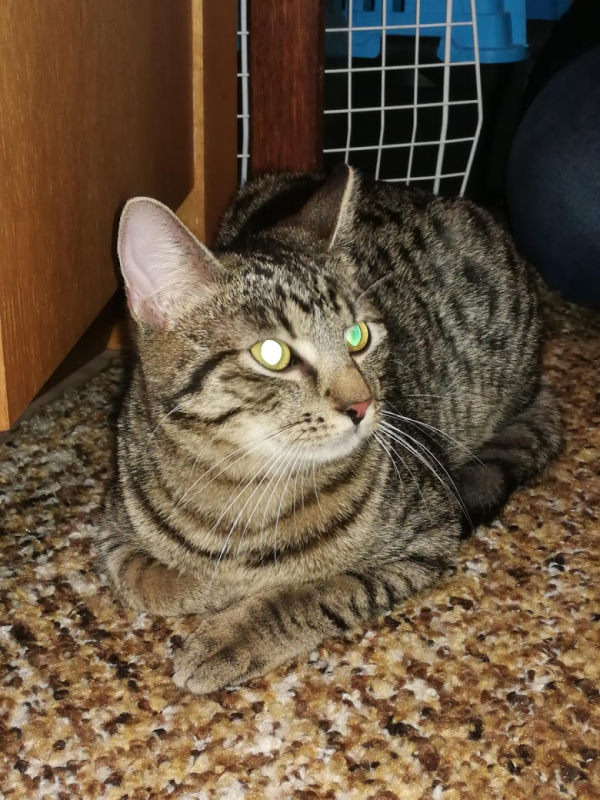 Charlie