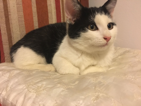 Clarence