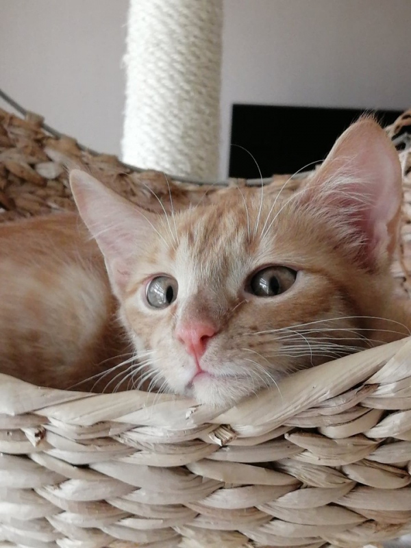 William
