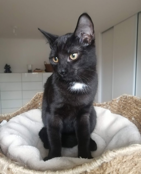 Galileo