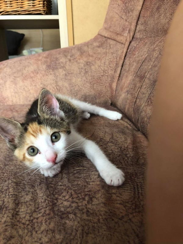 Mia