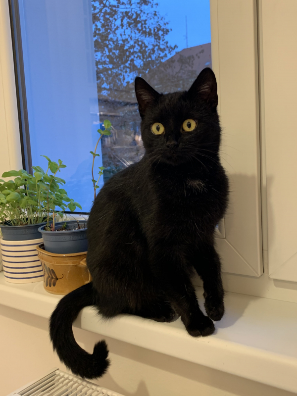 Esther
