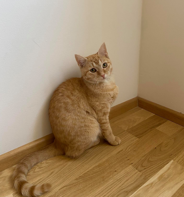 Cecilka