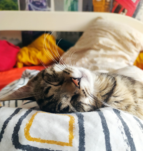 Luna