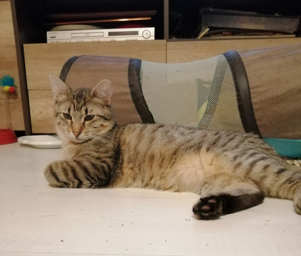 Tony