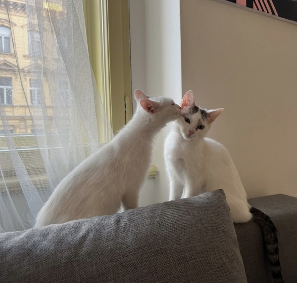 Lily & Eli