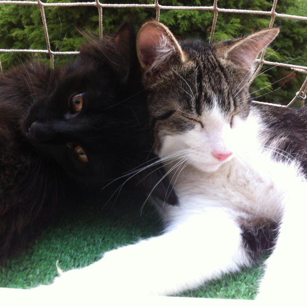 Vilík&Barbucha - Image 2