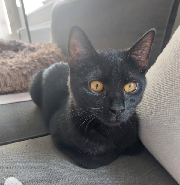 Pablo