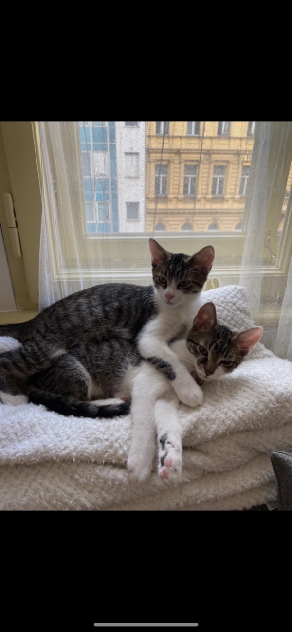 Sleepy&Bebe - Image 2