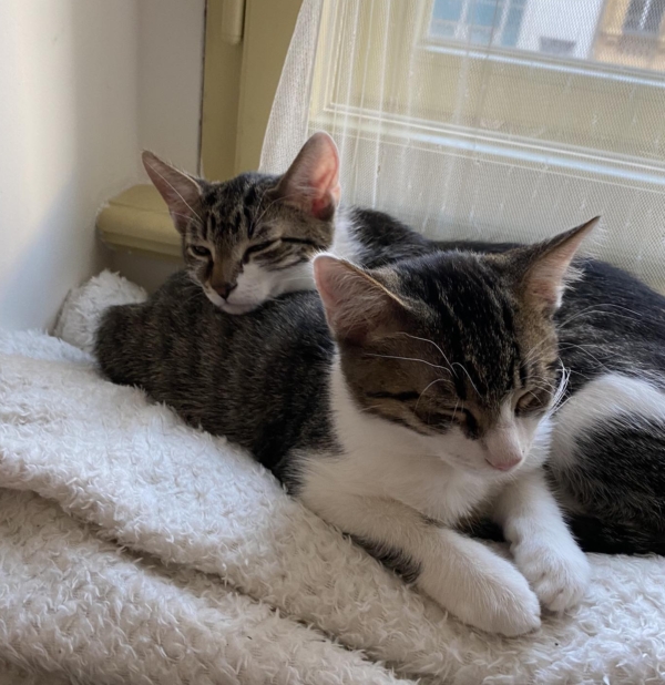 Sleepy&Bebe