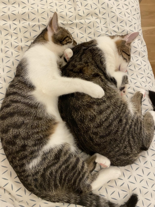 Sleepy&Bebe - Image 5