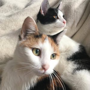 Majda & Amy