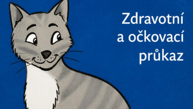 Očkování koček